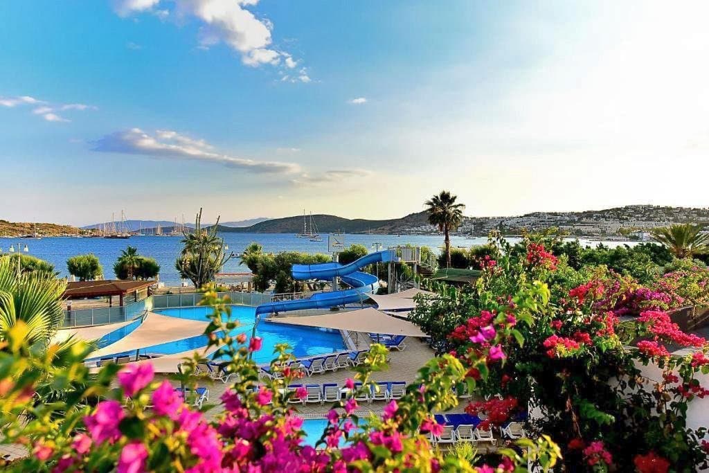 Parkim Ayaz, Bodrum
