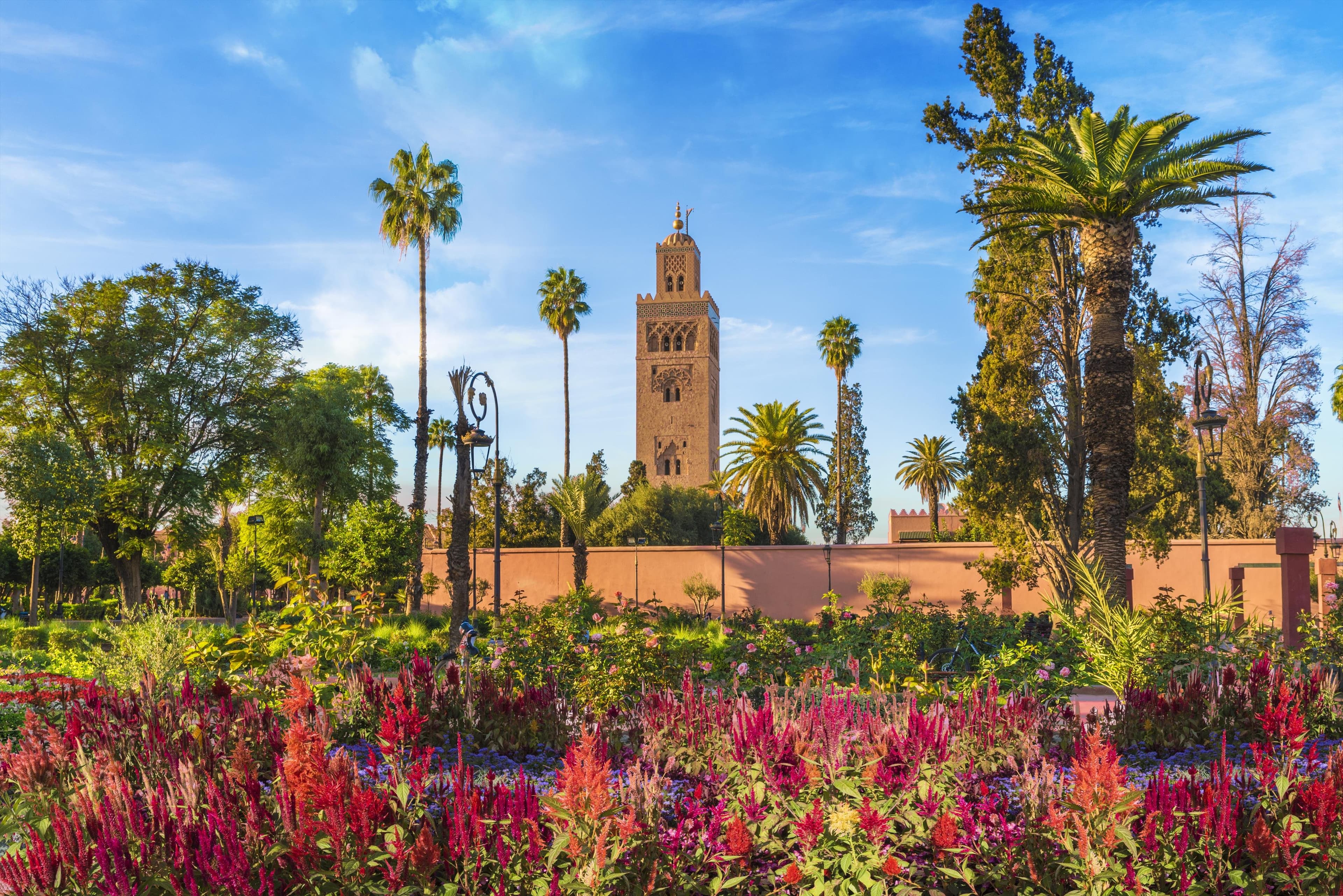 Circuit Revelion Maroc Farmecul African, Marrakesh