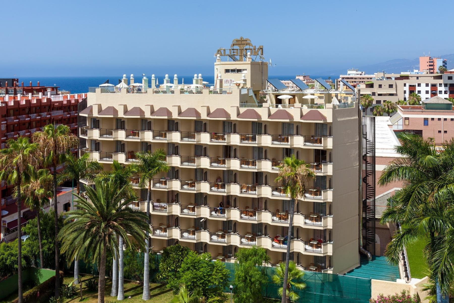 GF NOELIA, Puerto de la Cruz